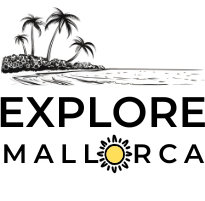 copie de logo réseau